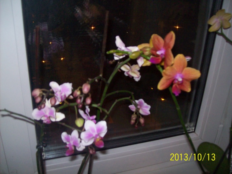 cbf9de0d679372be23ac7398d0bdd544.jpg
