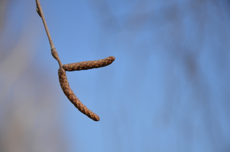 Дима 2,10