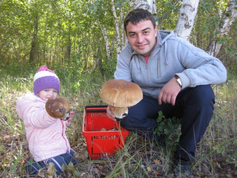 Грибы!