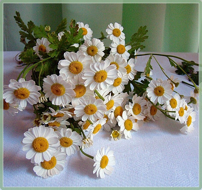 с днем. рождения меня. 21 год и 108 месяцев