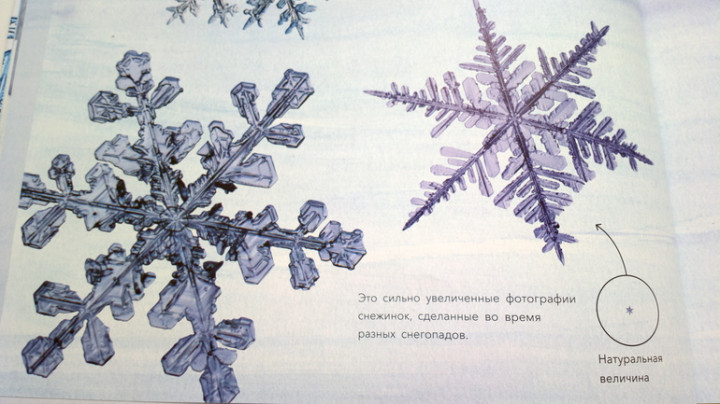 Книги про снежинки и снег — 5 ответов на Babyblog