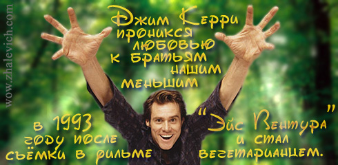 Марафон