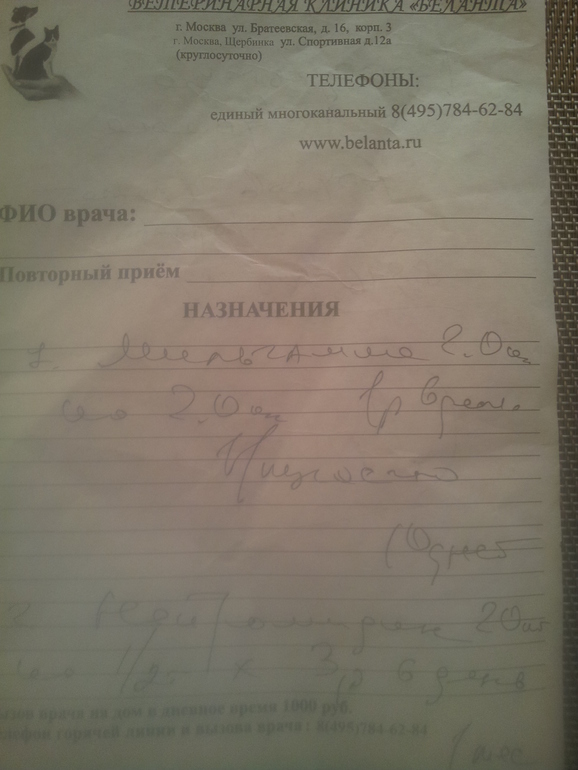 Восточно-Европкйская овчарка, отнялись лапы ПРОДОЛЖЕНИЕ