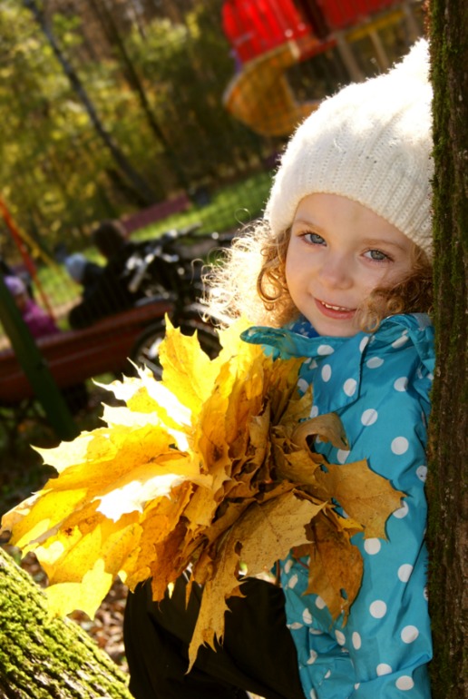 260b9c91441d4fe6df75a464efb138ea.jpg