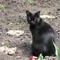 Ната
