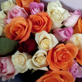 ПОЛИНА - Polinusj