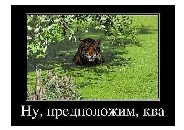 fa5613119355769d9cba5e9bf4acb8c5.jpg