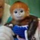 Сергей Баскин