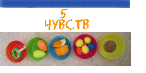 ТН "Пять чувств" (2 г. 9 мес.)