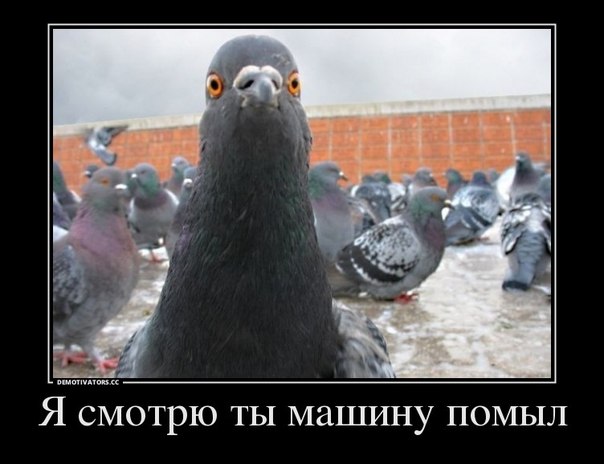 Минутка улыбки)5 шт.