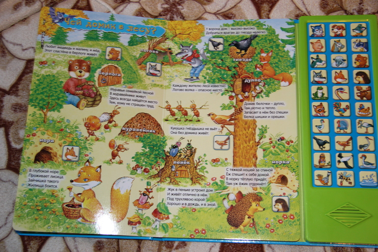 bf6fa10d270c4451860bbeeb792a01a5.jpg