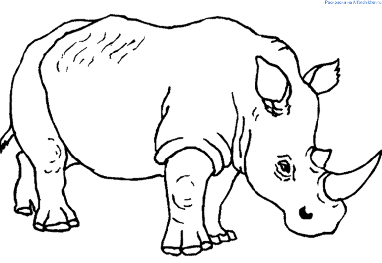 987dd1a2d149a3bcf03f9a69cf789d1f.png