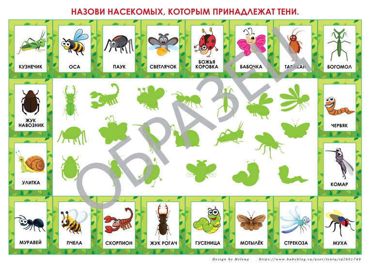 дидактическая игра для детей найди тень насекомых