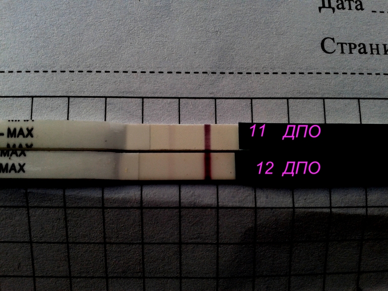 мои тесты на 11 и 12 ДПО.
