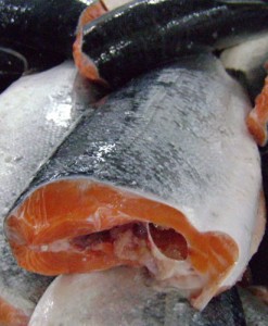 Чавыча бг штучная мороженая 5кг. (без головы не потрошенная)