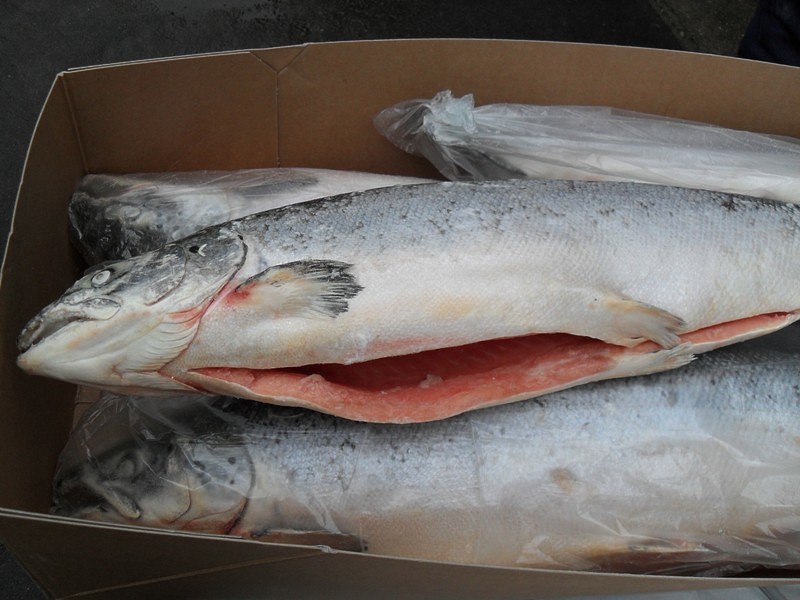 СЕМГА ЧИЛИ ооочень вкусная 6кг