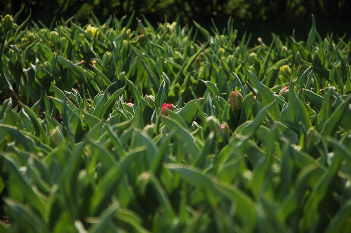 Половина маршрута