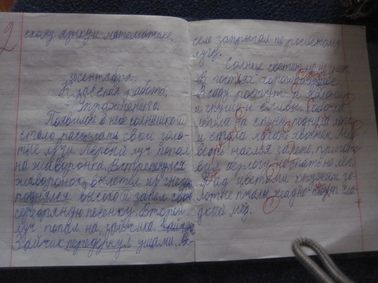 Наши двойки. И психозы в мировом балете.