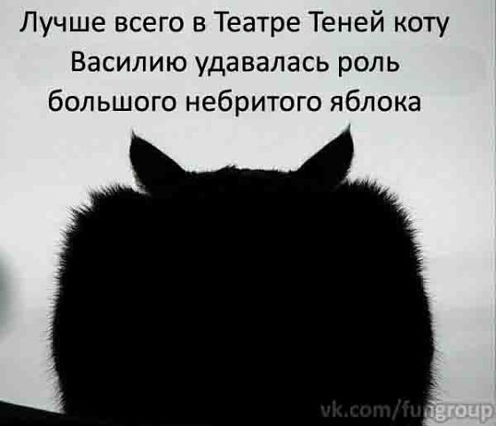 *******