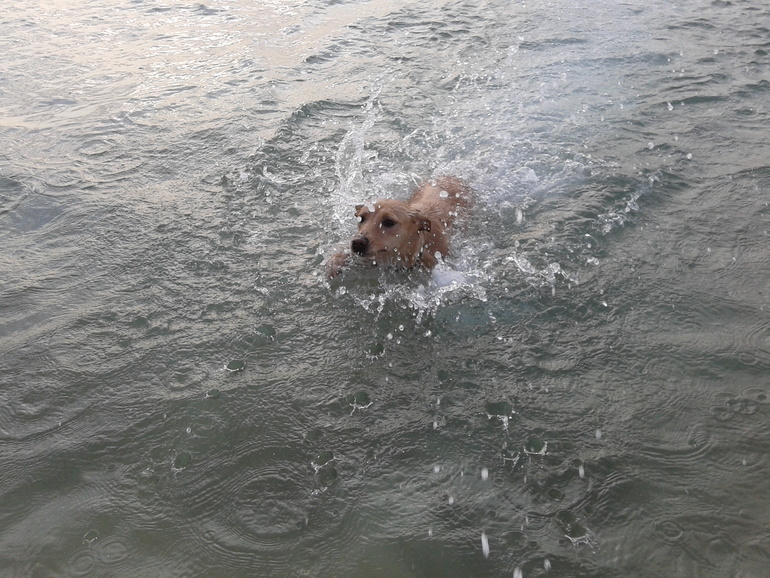 А тем временем...