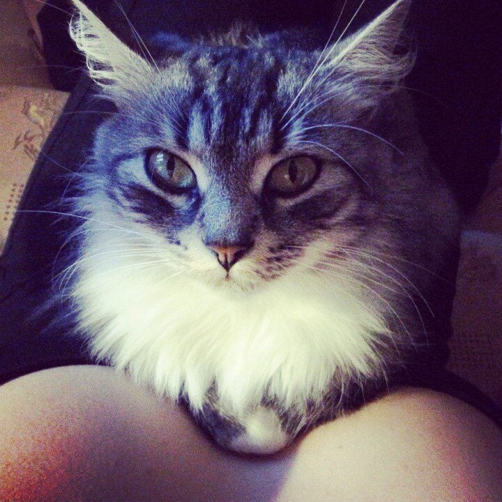 Однажды вечером...