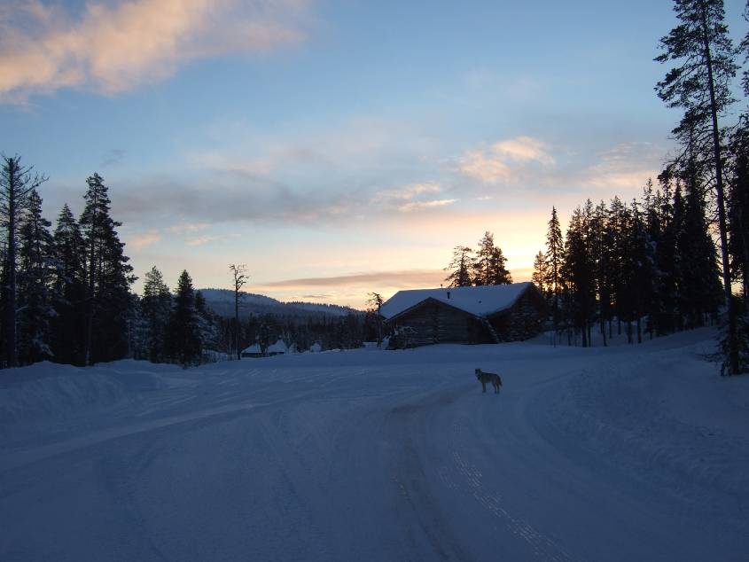 Наш январь. Часть 3