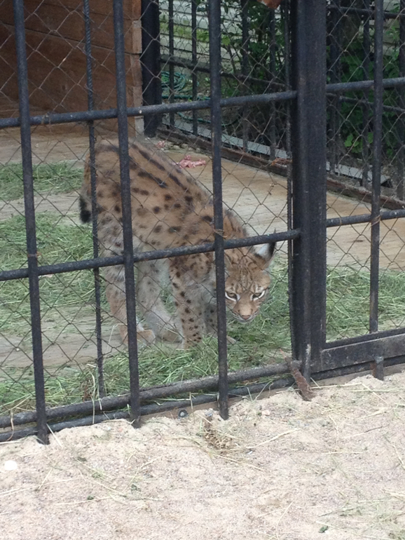 Выходные в семь озер