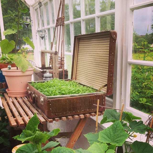 Чемоданы в интерьере - resväska