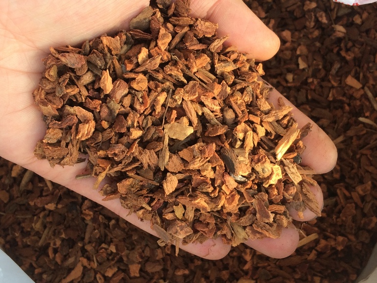 Мои новые сожители:)