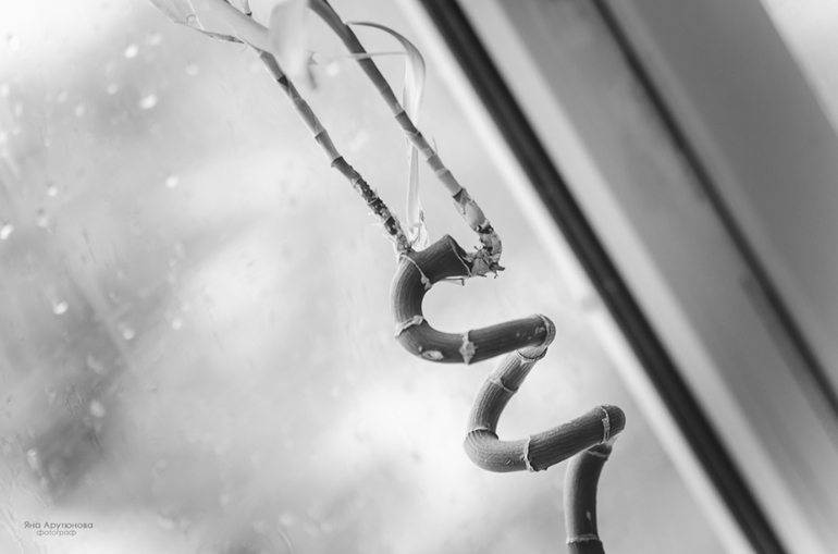 Если на улице идет дождь...