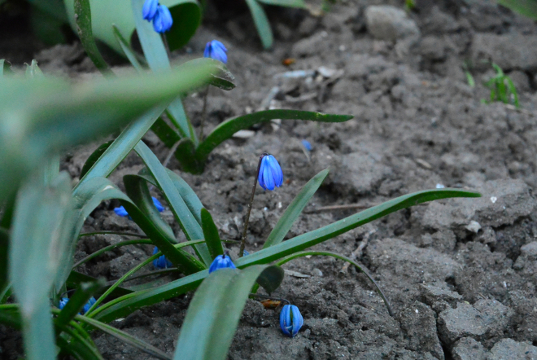 Беззеркалка Nikon 1 S1