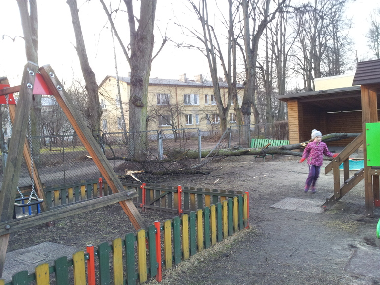 Проишедствие в саду.