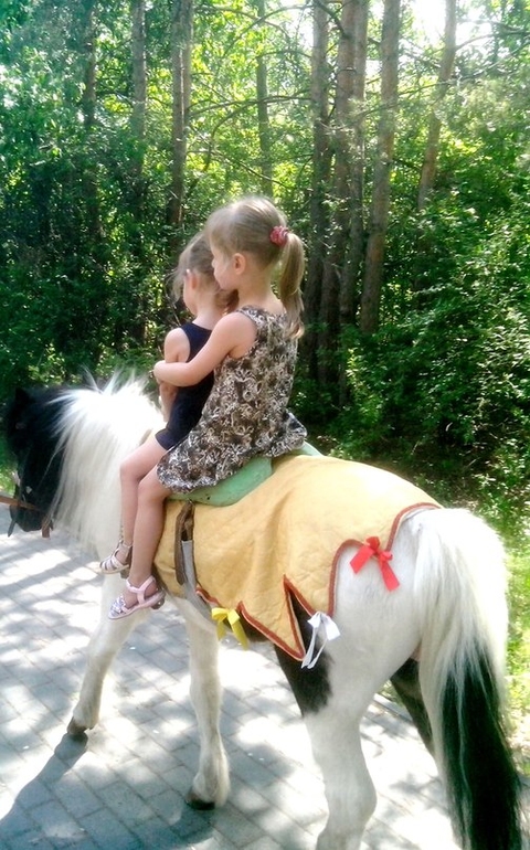 МОИ АМАЗОНКИ)))