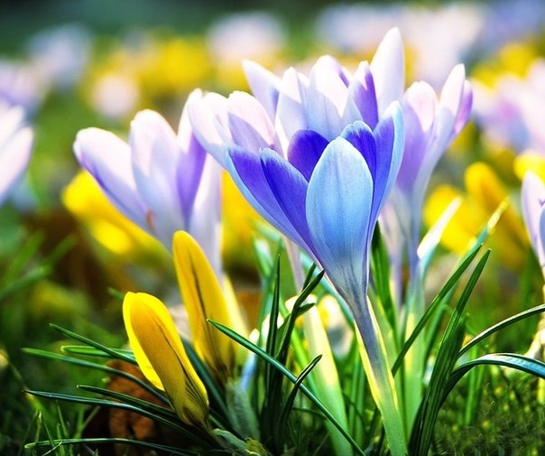 Авантюра Пасхальная - Этап 3!