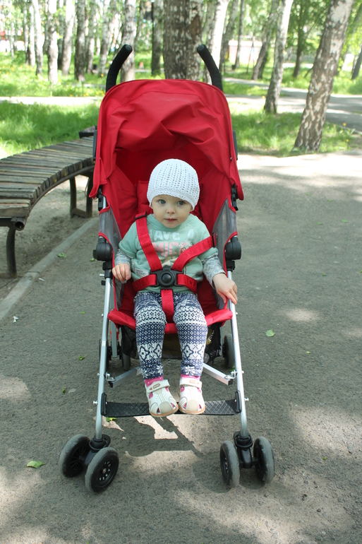 Maclaren Globettroter - легкая трость для подросших малышей!