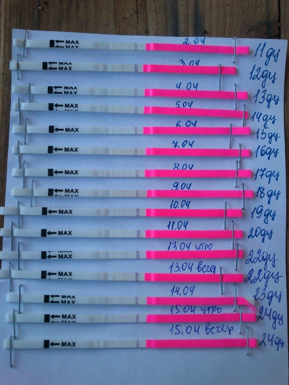 Посмотрите как нагло врут тесты с ебэя!