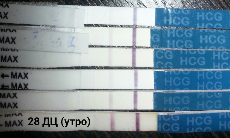 Вот!!! как и обещала-последний сделаный тест!!! завязываю тестоманить)