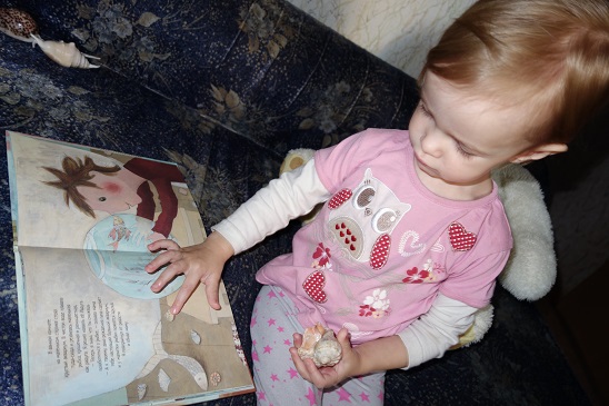 Лотерея 23. Ракушки.