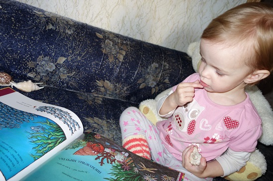 Лотерея 23. Ракушки.