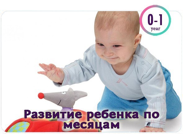 РАЗВИТИЕ РЕБЕНКА ПО МЕСЯЦАМ ДО ГОДА
