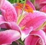 Огромное_материнское_спасибо_девочкам!