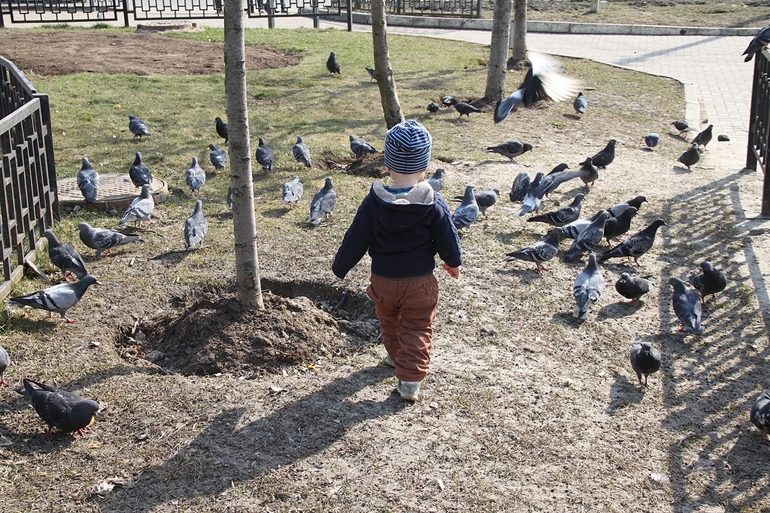 Раннее интеллектуальное развитие. Наш опыт.