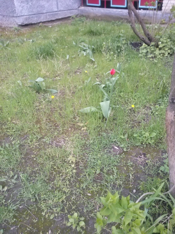 А за вікном...майже весна)))))))))