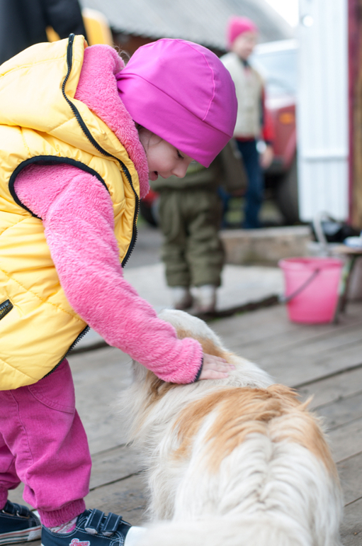в деревне (фото)