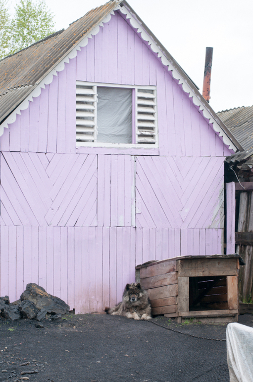 в деревне (фото)