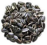 Продукты продлевающие молодость