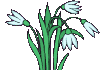 8c494fd49f4eb2b1fabfdc30c8c0c412.gif