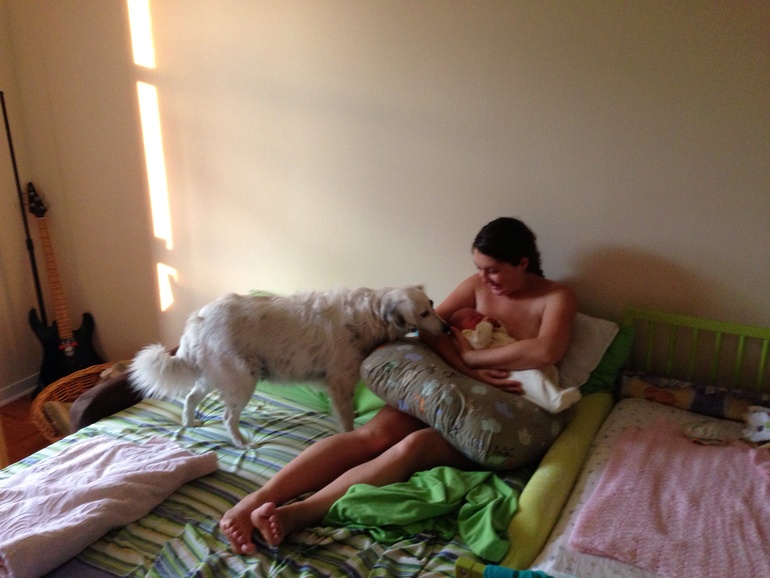 Первая неделя