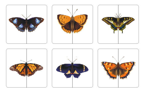 Теневое лото/подбери пару