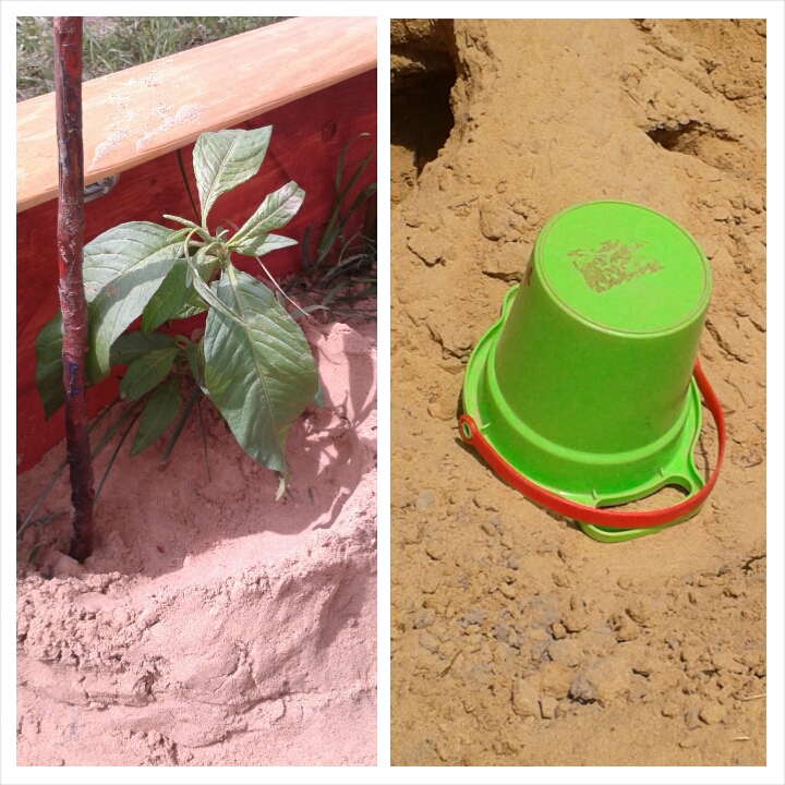 Фм Сказочные прогулки часть2